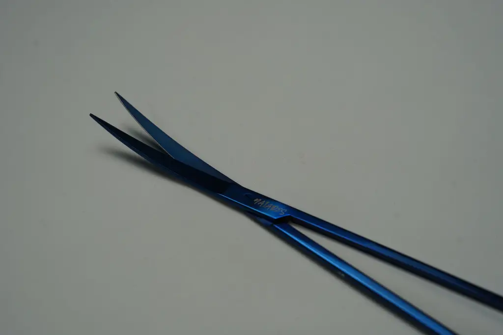 DSC01141 2.webp